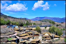 추천갤러리 - 최참판댁 마을