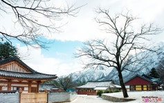 추천갤러리 - 설악산 신흥사