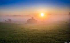 추천갤러리 - 안성목장