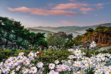 추천갤러리 - 구절암~