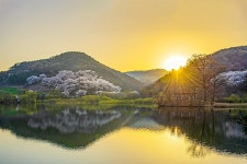 추천갤러리 - 용비지