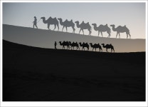 추천갤러리 - 카라반