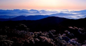 추천갤러리 - 덕유에서