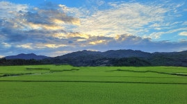 추천갤러리 - 들녘