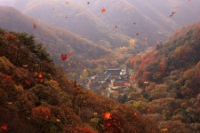 추천갤러리 - 백양사