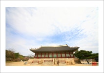 추천갤러리 - 경북궁에서
