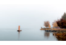 추천갤러리 - 황포돗대