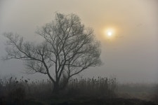 추천갤러리 - 고요한 아침