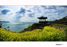 추천갤러리 - 바다가 보이는 풍경