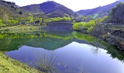 추천갤러리 - 온동네를 산수유가....