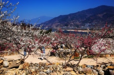 추천갤러리 - 섬진강마을