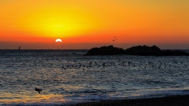 추천갤러리 - 문무대왕릉