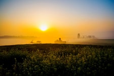 추천갤러리 - 안성목장의 아침