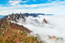 추천갤러리 - 가을 설악