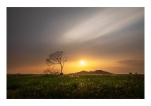 2020-03-0522 | 추천갤러리 - 수섬-2021-0526