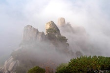 추천갤러리 - 오봉