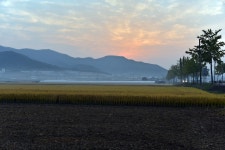 추천갤러리 - 들녘