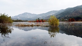 추천갤러리 - 생태공원의풍경