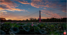 추천갤러리 - 나의고향 덕진연지