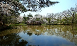 추천갤러리 - 장릉지 - 김포 장릉