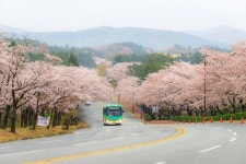 추천갤러리 - 경주보문로....