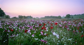 추천갤러리 - 영산포 들섬