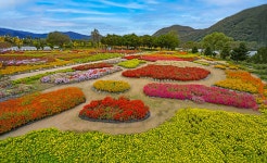 추천갤러리 - 자라섬