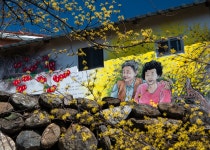 추천갤러리 - 산수유마을 老부부