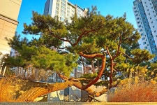 추천갤러리 - 앞뜰에서