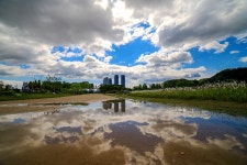 추천갤러리 - 비온후 풍경...