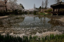 추천갤러리 - 보문정