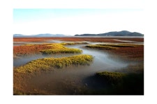 추천갤러리 - 황산도 대조기