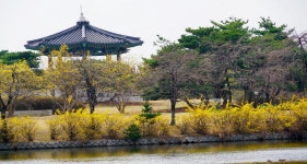 추천갤러리 - 호수공원;