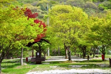 추천갤러리 - 달궁의 봄