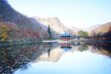 추천갤러리 - 빛과 그림자