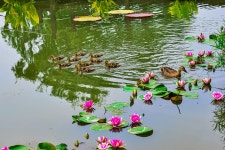 추천갤러리 - 궁남지~3