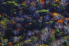 추천갤러리 - 함백산에서..