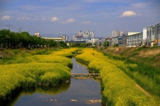 추천갤러리 - 대명천월암교...