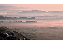 추천갤러리 - 아침들녘