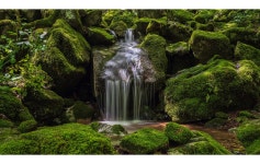 추천갤러리 - 만덕산 이끼계곡