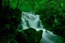 추천갤러리 - 장전 계곡