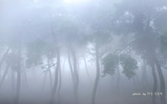 추천갤러리 - 자연의 은막 스크린