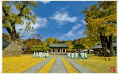 추천갤러리 - 전주향교에서