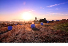 추천갤러리 - 목장아침