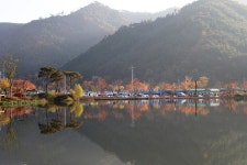 추천갤러리 - 송해공원에서..