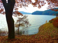 추천갤러리 - 데청호반에서..