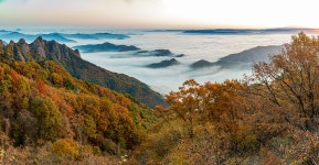 추천갤러리 - 구봉산