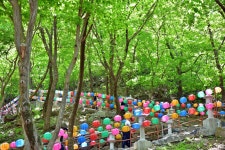 추천갤러리 - 갓바위 가는길