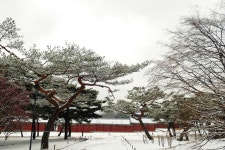 추천갤러리 - 창경궁 설경