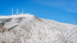 추천갤러리 - 태기산